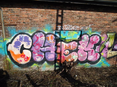 Graffiti Bombing in Oldenburg - Photo by oldenburgcity - chek (2013)