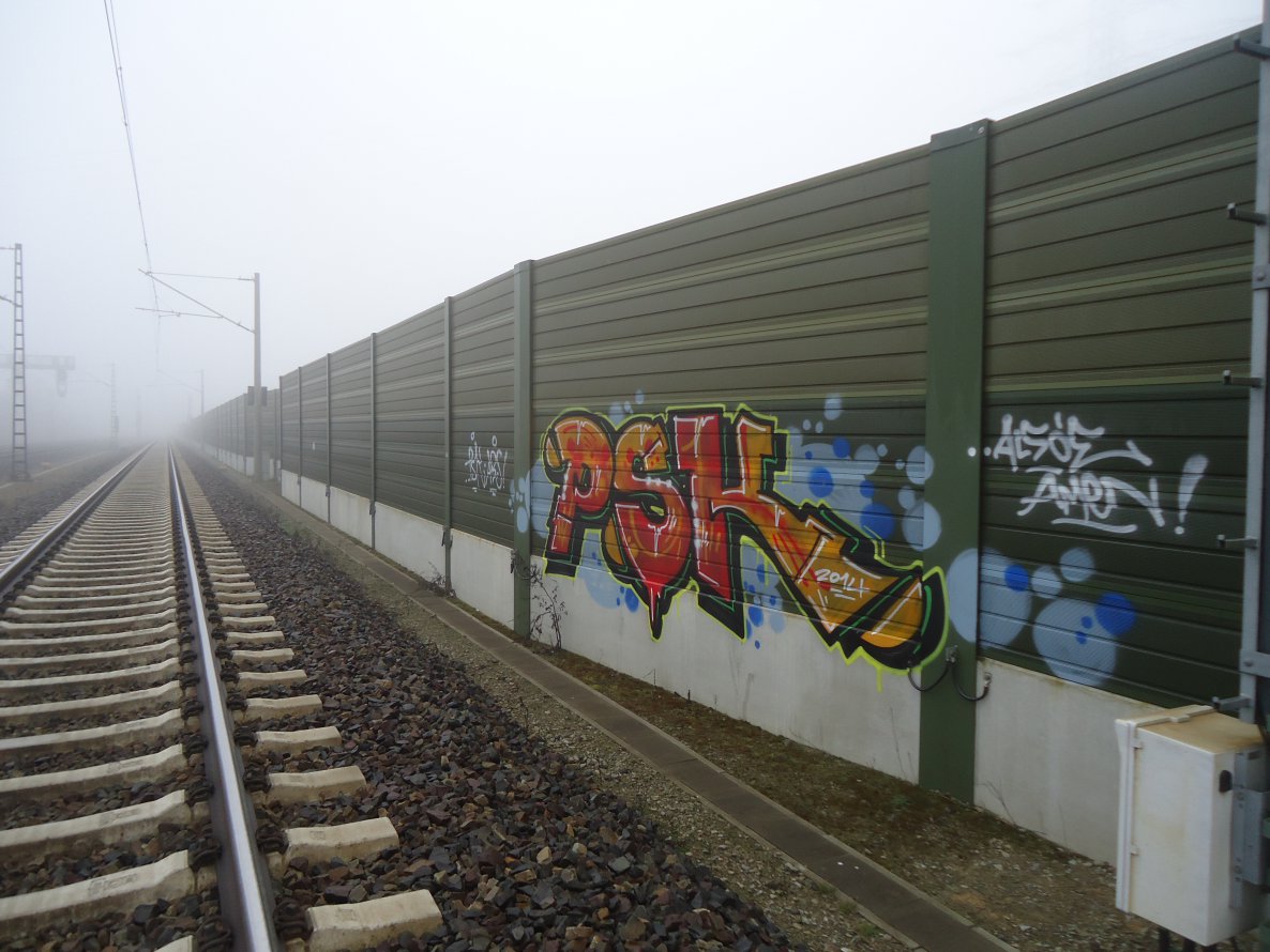 Graffiti Bombing in Timbuktu - Photo by oldenburgcity - psk (2014)