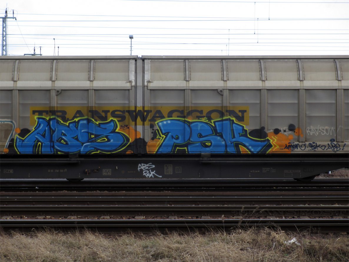 Graffiti Train in Oldenburg - Photo by oldenburgcity - abs, psk (2013)