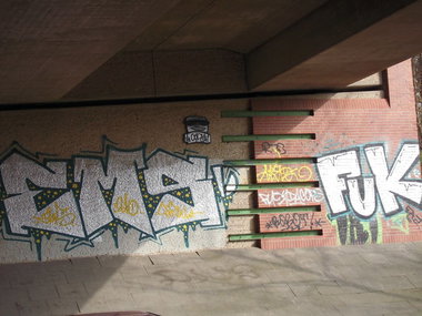 Graffiti Bombing in Oldenburg - Photo by oldenburgcity - ems, cody, fuk