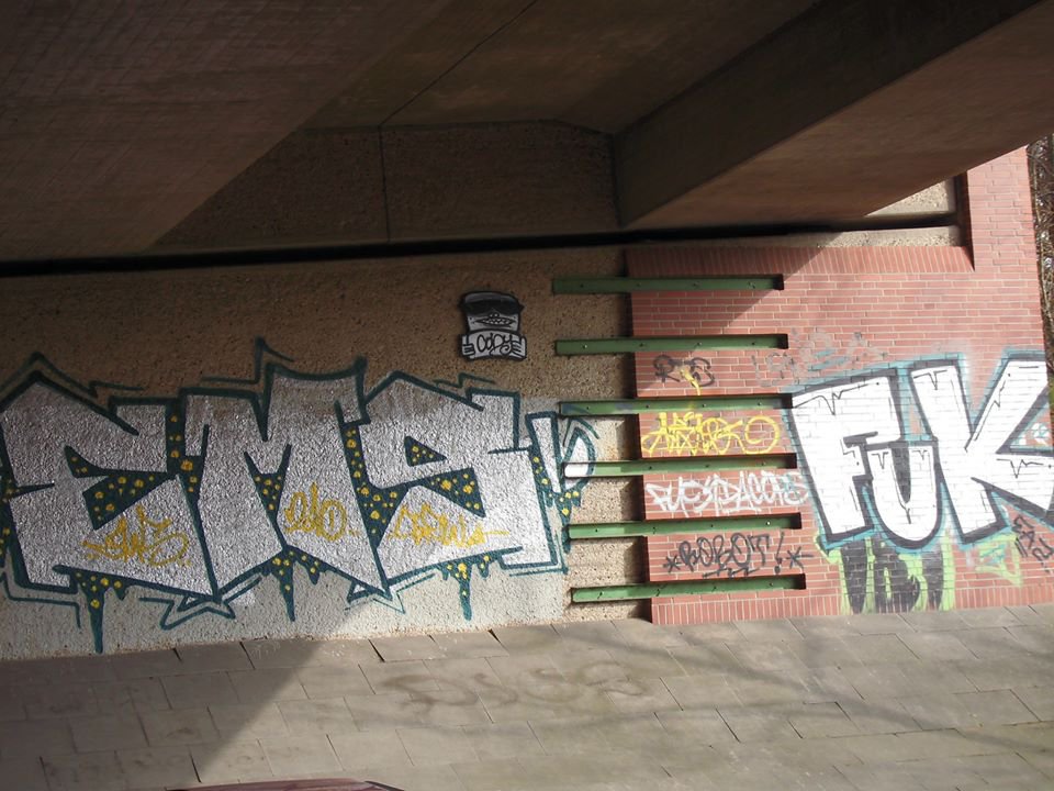 Graffiti Bombing in Oldenburg - Photo by oldenburgcity - ems, cody, fuk