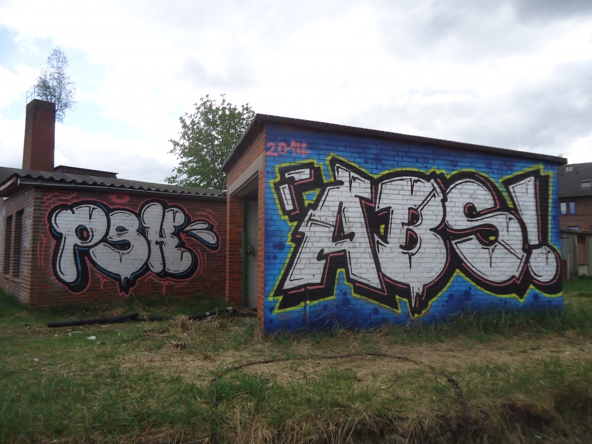 Graffiti Bombing - Photo by oldenburgcity - abs, psk (2014)