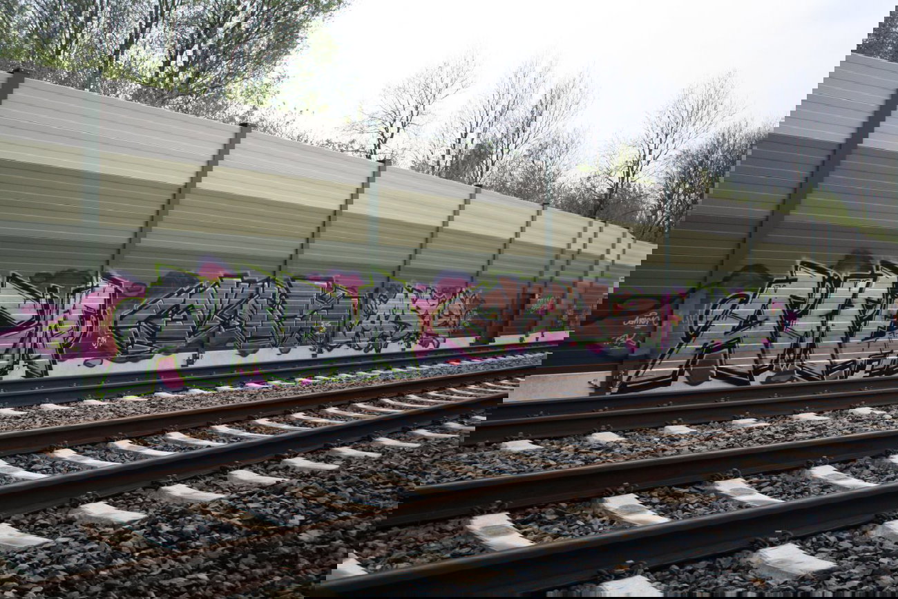 Graffiti Bombing - Photo by oldenburgcity - amen, onil, oniel (2014)