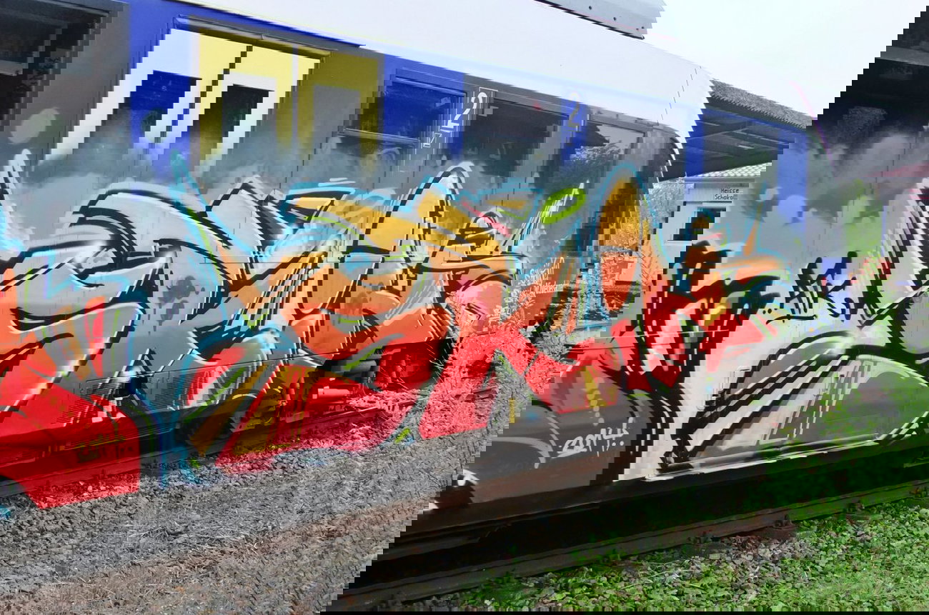 Graffiti Train - Photo by oldenburgcity - skin