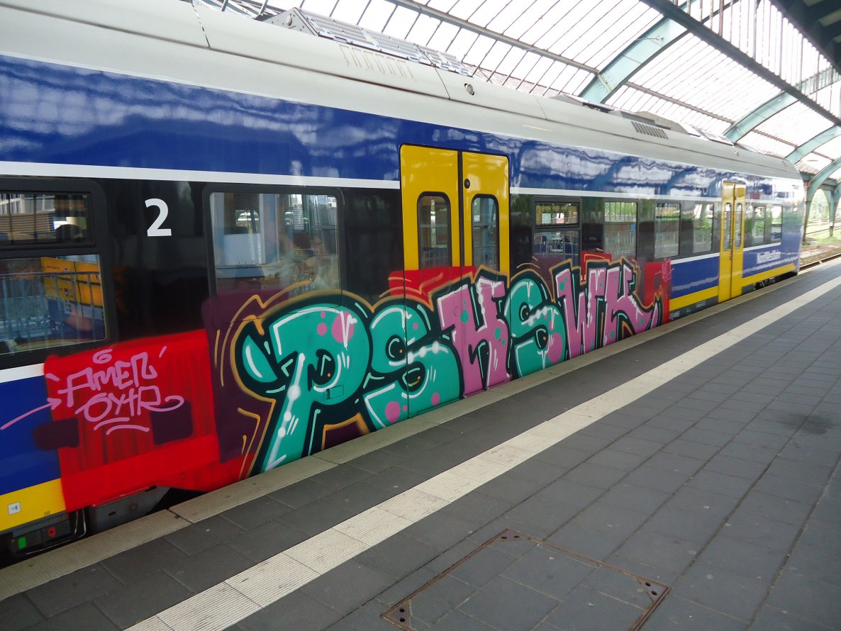 Graffiti Train in Oldenburg - Photo by oldenburgcity - psk, swk (2014)