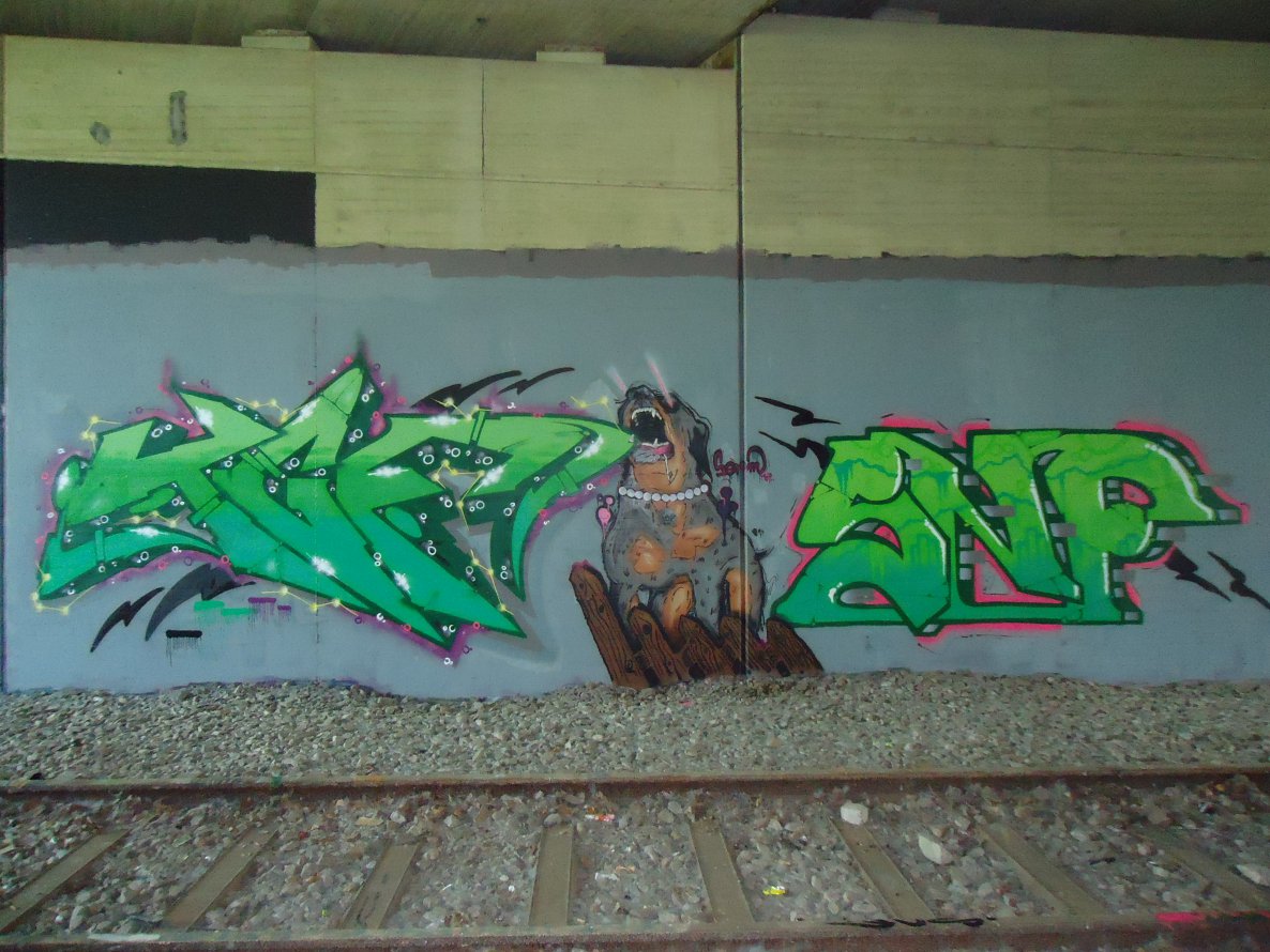 Graffiti Wall in Oldenburg - Photo by oldenburgcity - tgf, snf (2014)