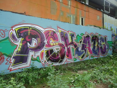 Graffiti Bombing in Oldenburg - Photo by oldenburgcity - psk, abs, ditc (2014)