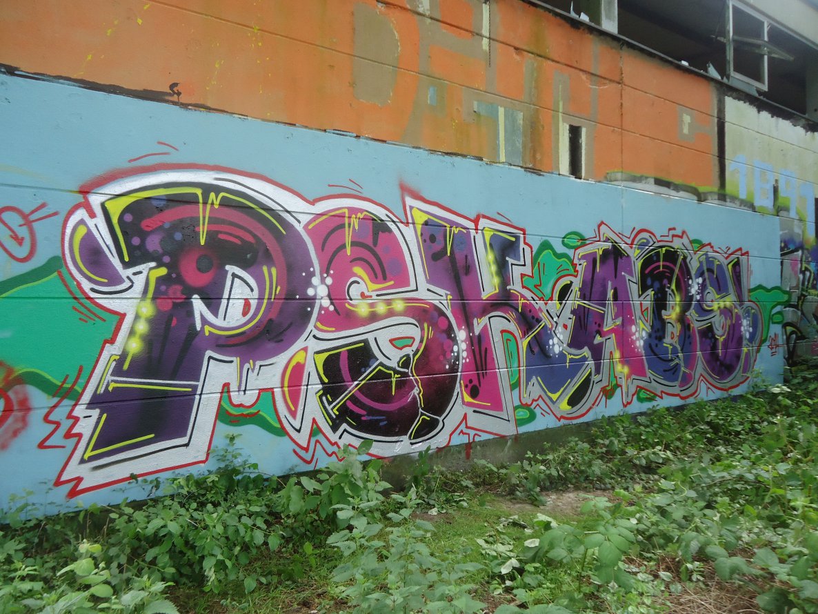 Graffiti Bombing in Oldenburg - Photo by oldenburgcity - psk, abs, ditc (2014)