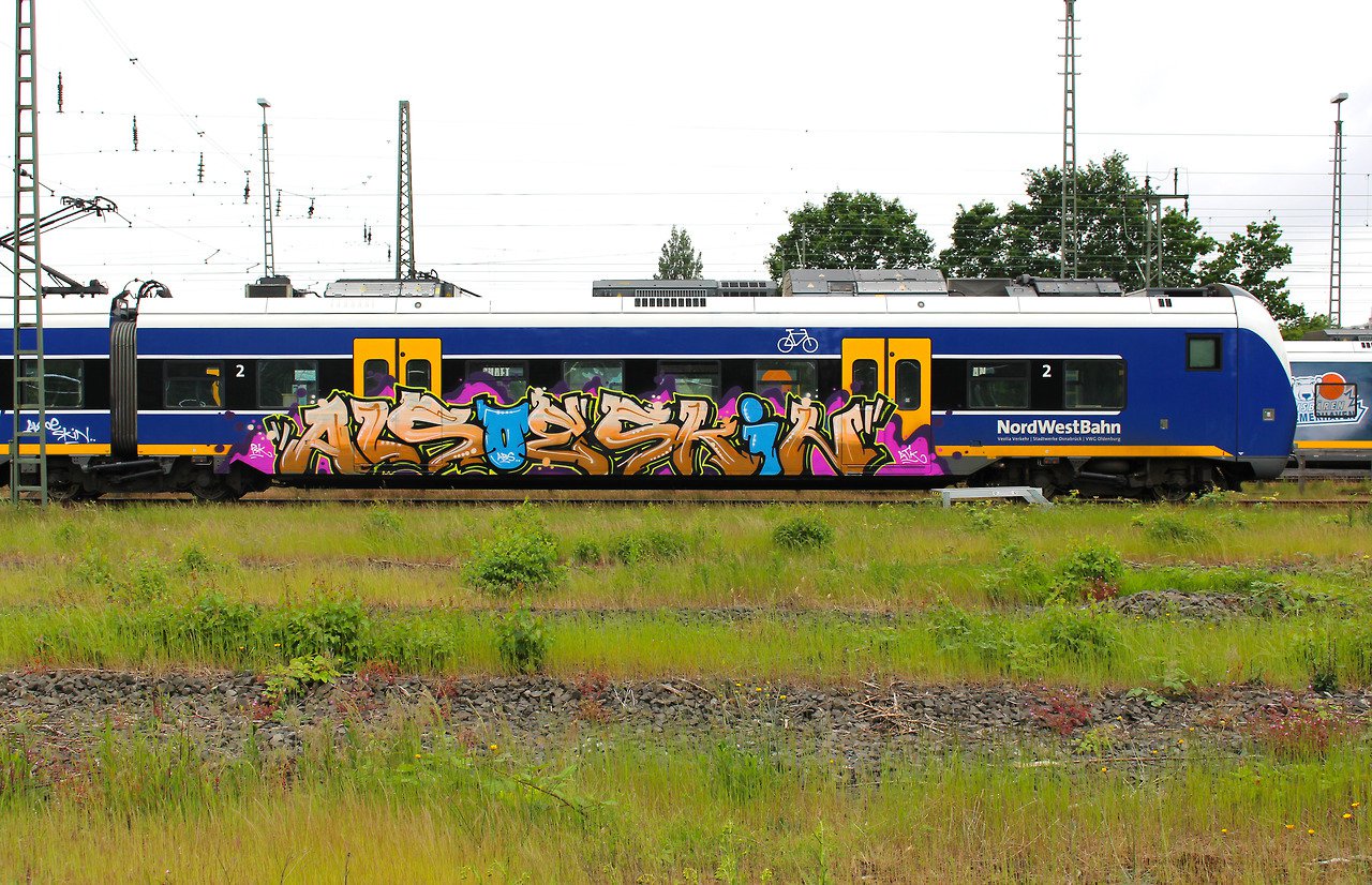 Graffiti Train - Photo by oldenburgcity - alsoe, also, skin (2014)