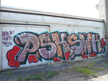 Graffiti Bombing - Photo by oldenburgcity - psk, swk (2014)