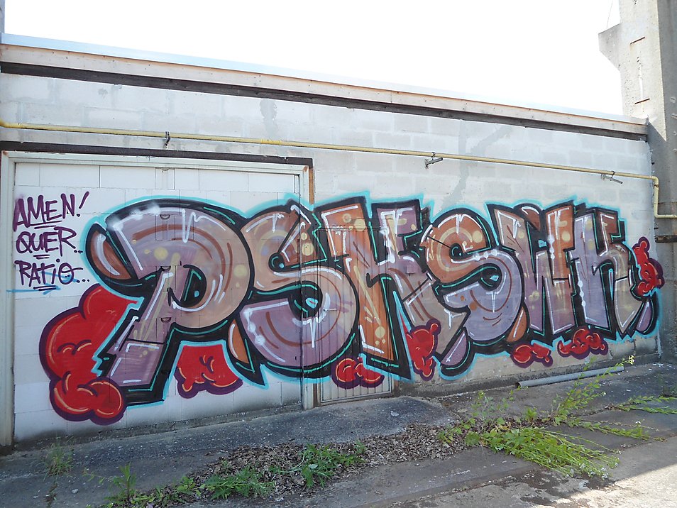 Graffiti Bombing - Photo by oldenburgcity - psk, swk (2014)