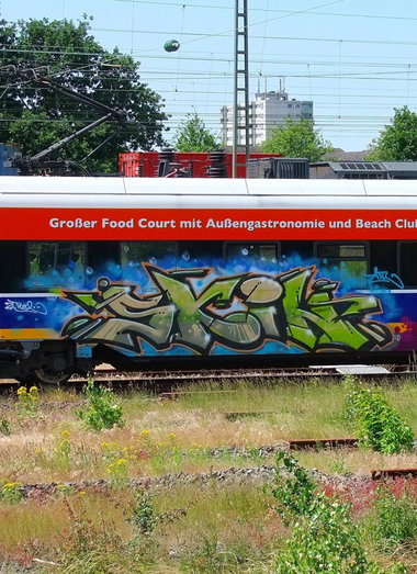 Graffiti Train - Photo by oldenburgcity - skin (2014)