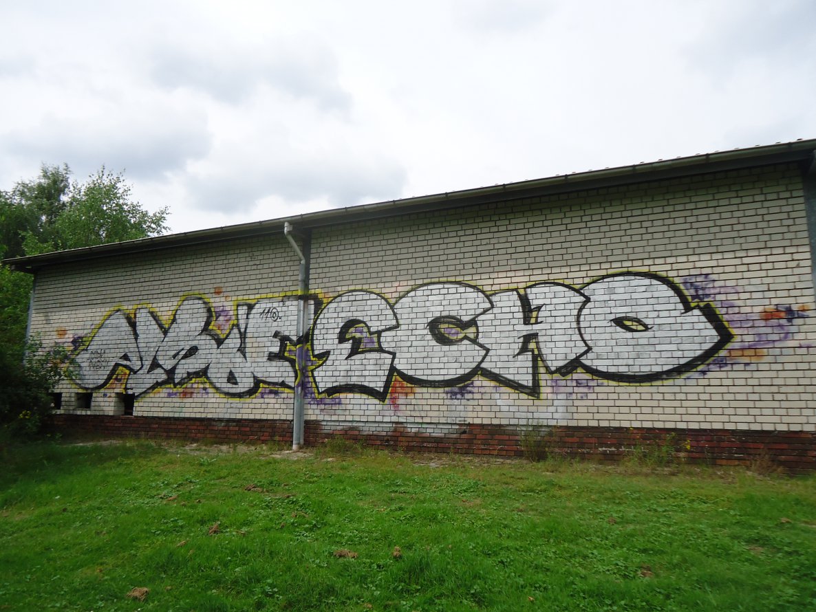 Graffiti Bombing - Photo by oldenburgcity - alsoe, echo (2011)