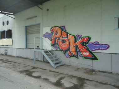 Graffiti Bombing - Photo by oldenburgcity - psk (2014)