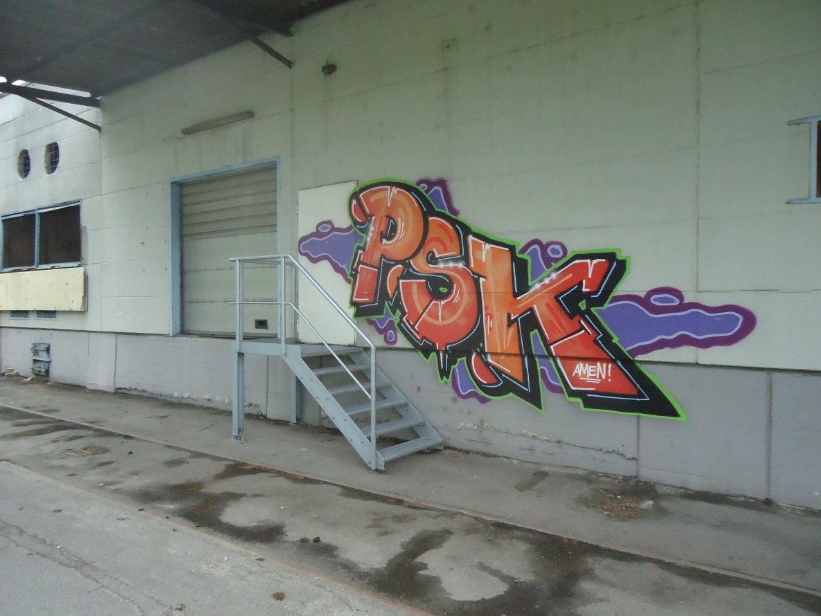 Graffiti Bombing - Photo by oldenburgcity - psk (2014)