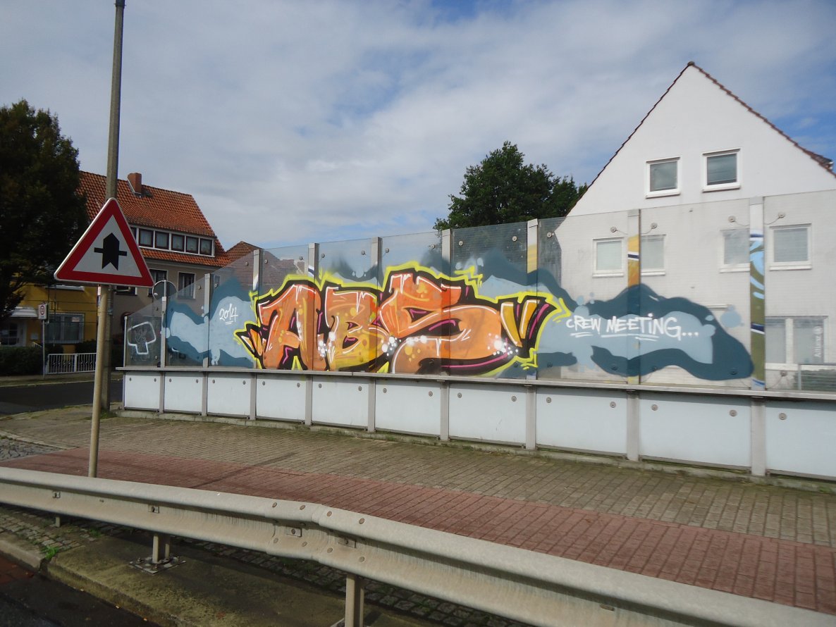 Graffiti Bombing - Photo by oldenburgcity - abs (2014)