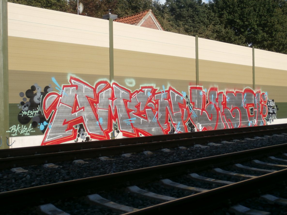 Graffiti Bombing - Photo by oldenburgcity - amen, leenoe, leeno (2014)