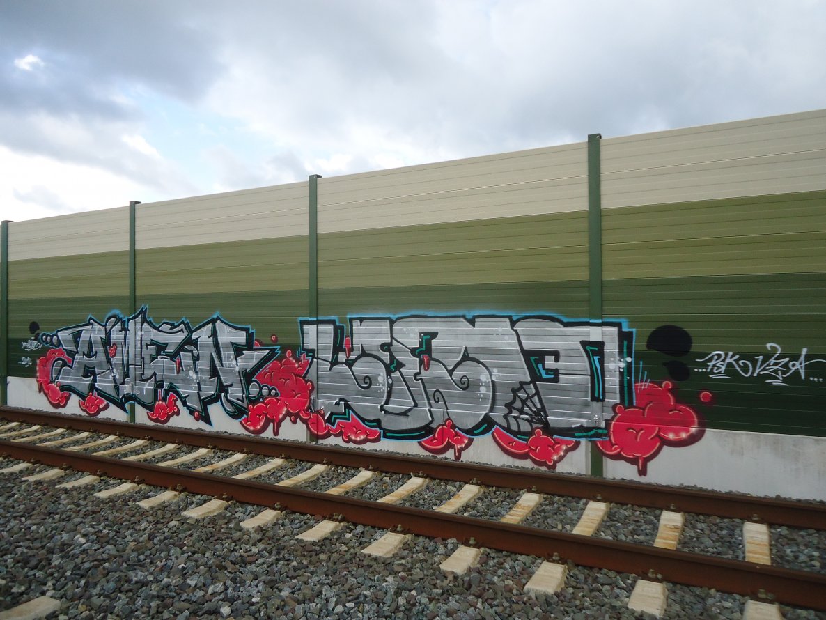 Graffiti Bombing - Photo by oldenburgcity - amen, leeno, leenoe (2014)