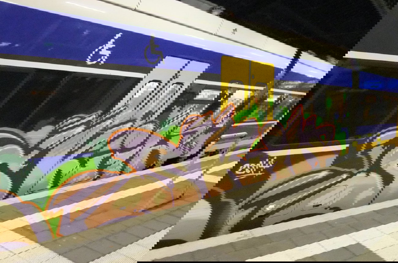 Graffiti Train - Photo by oldenburgcity - skin (2014)