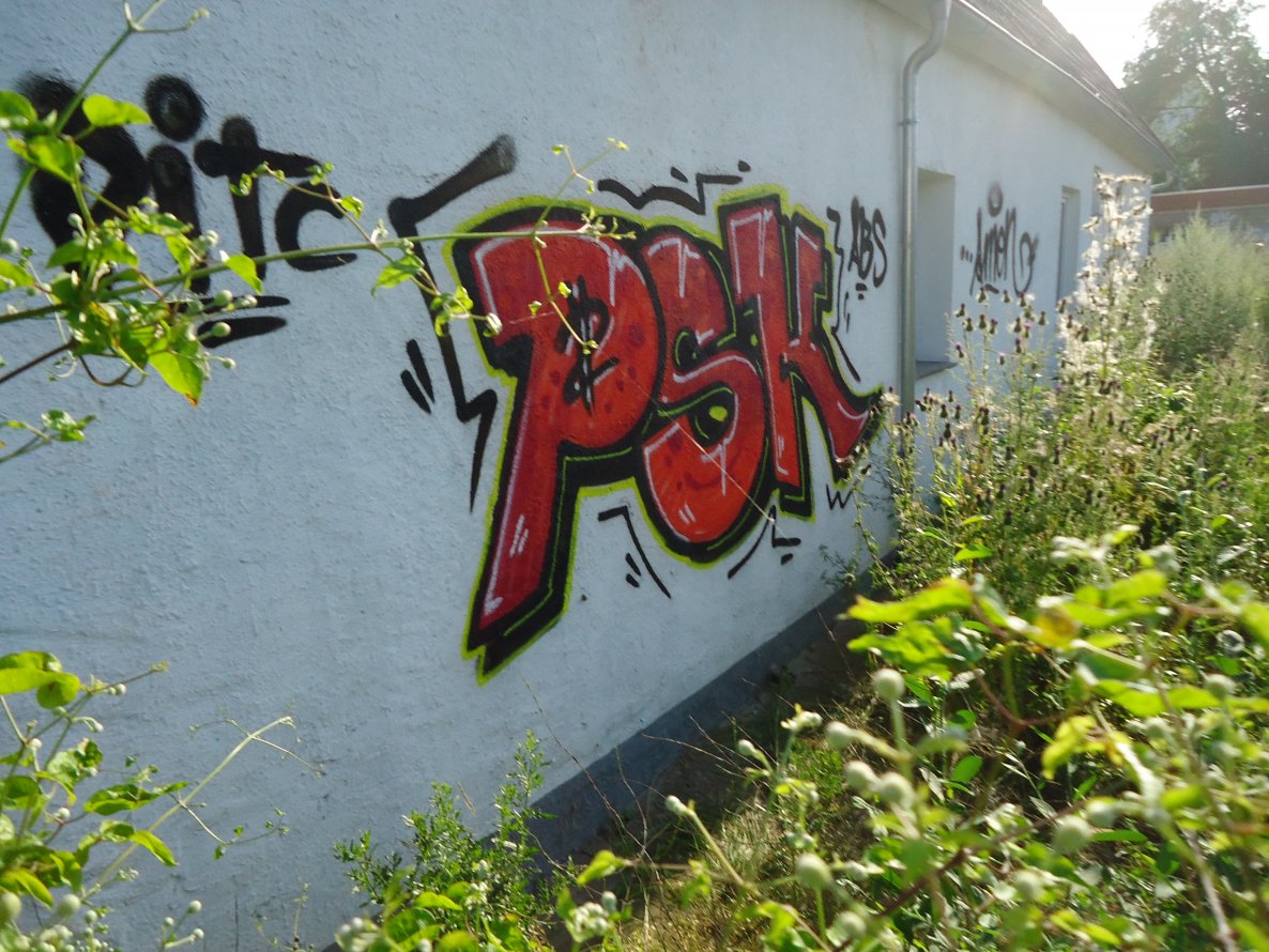 Graffiti Bombing - Photo by oldenburgcity - psk (2013)