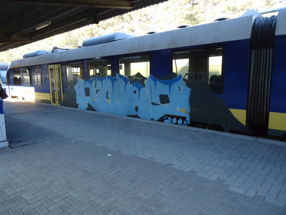 Graffiti Train - Photo by oldenburgcity - rillaz, rlz (2014)