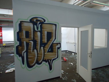Graffiti Bombing - Photo by oldenburgcity - rlz (2014)