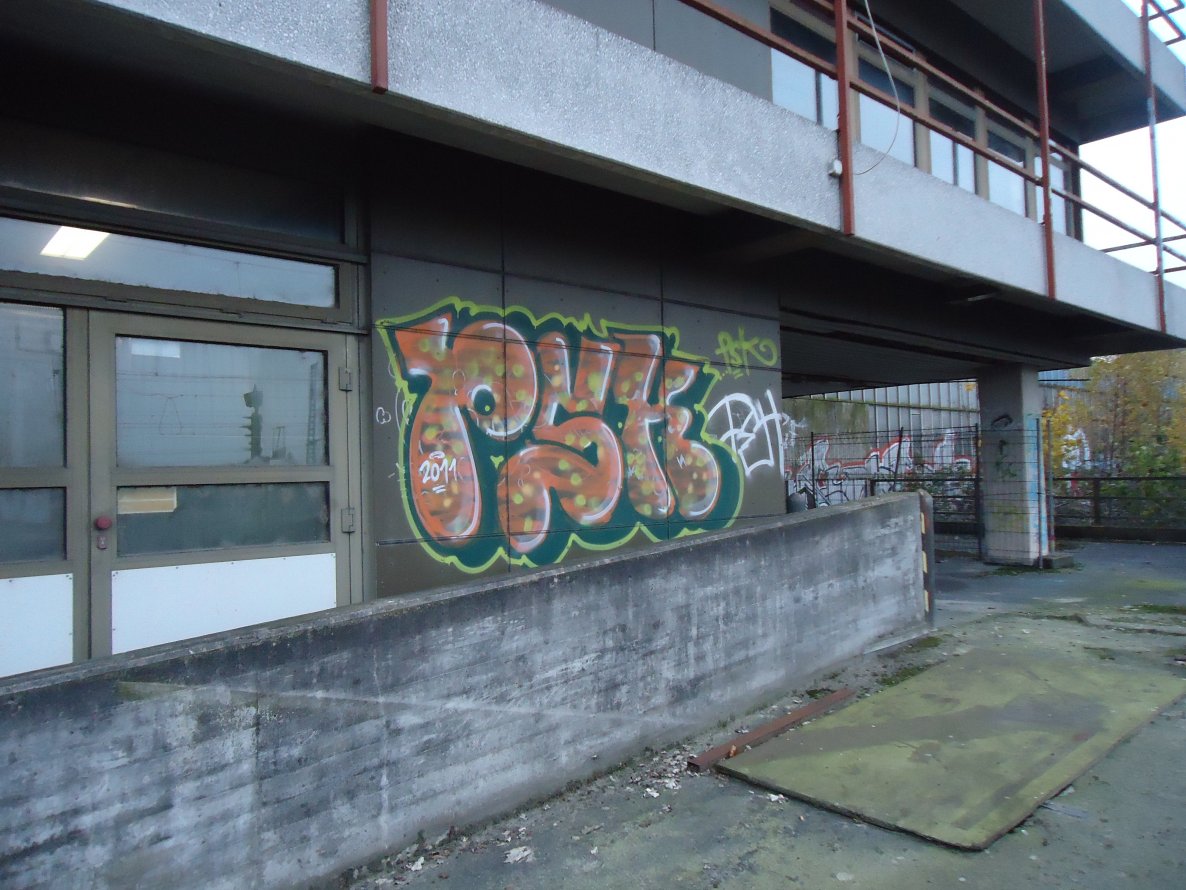 Graffiti Bombing - Photo by oldenburgcity - psk (2011)