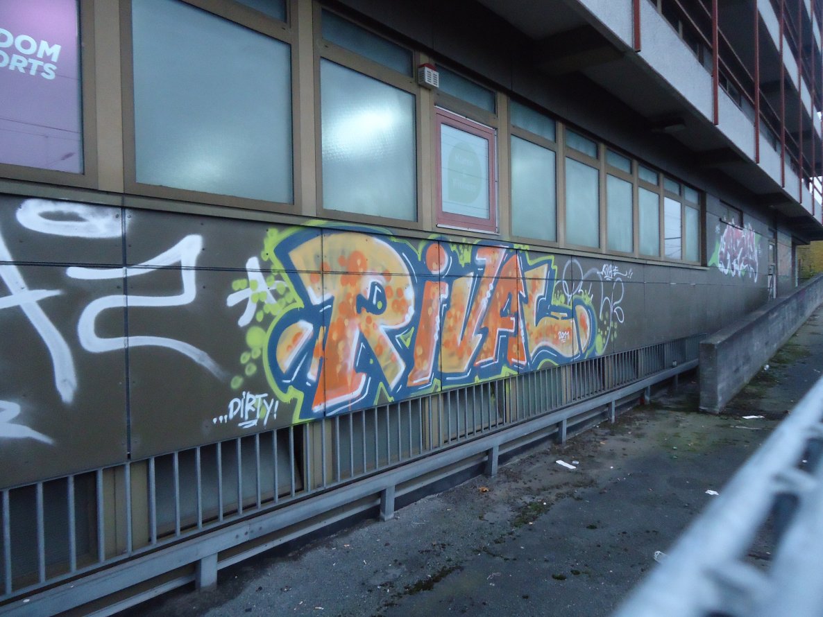 Graffiti Bombing - Photo by oldenburgcity - rival (2011)