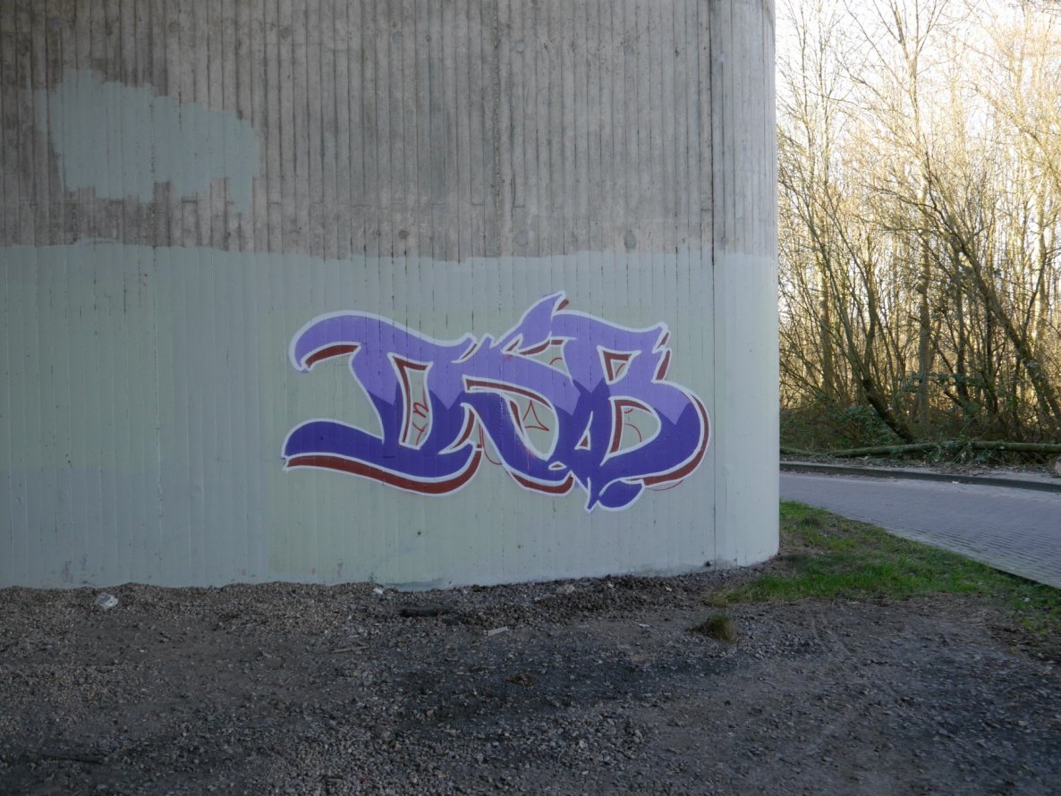 Graffiti Bombing - Photo by oldenburgcity - dsb (2015)