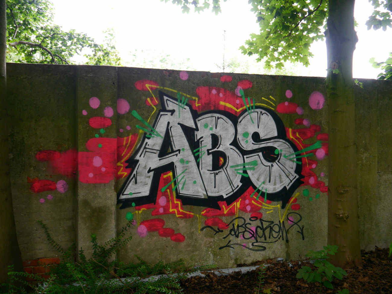 Graffiti Bombing - Photo by oldenburgcity - abs (2015)