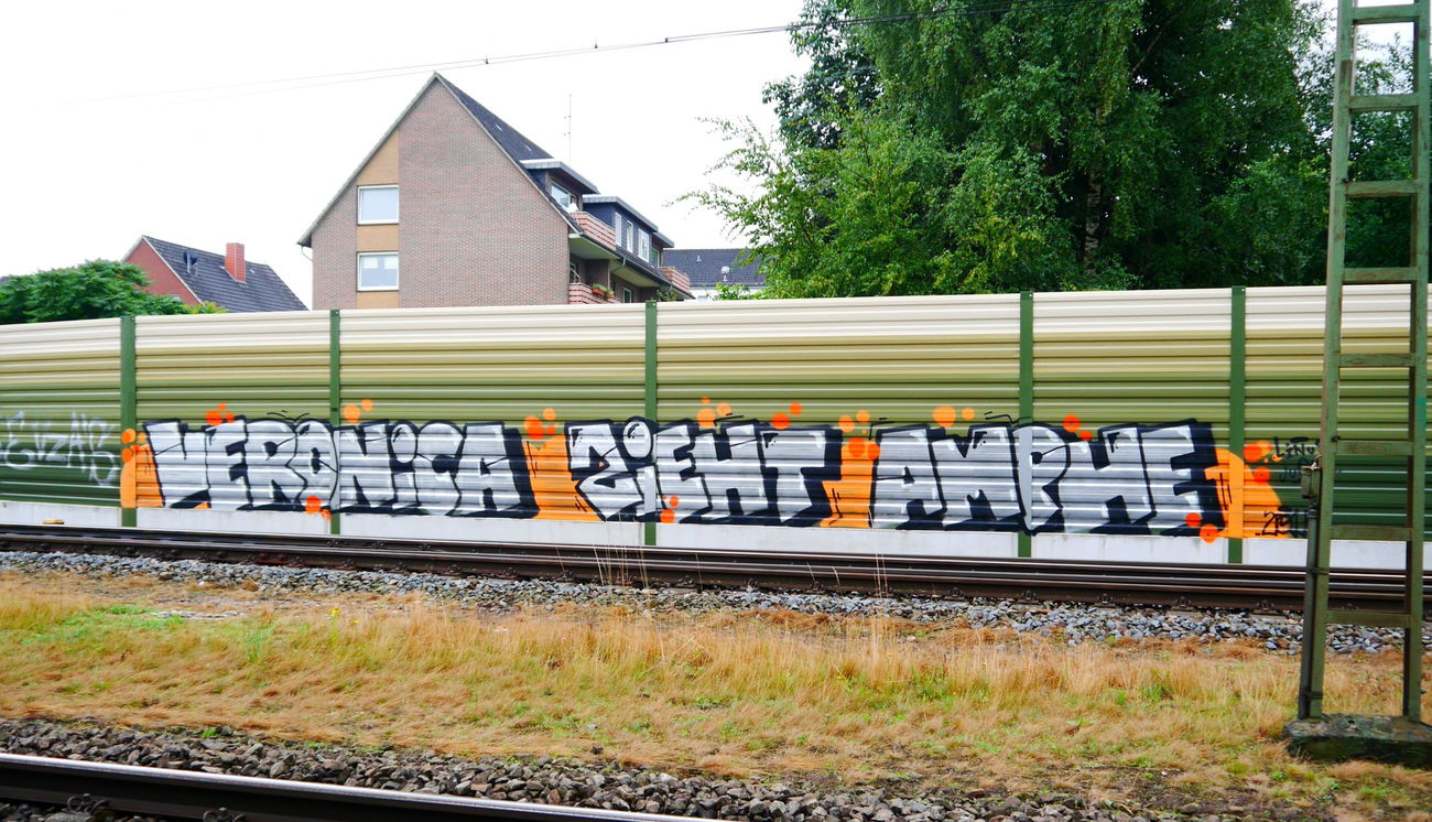 Graffiti Bombing - Photo by oldenburgcity - veronica, zieht, amphe (2015)