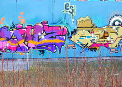 Graffiti Wall - Photo by oldenburgcity - heinz, iam, i (2015)