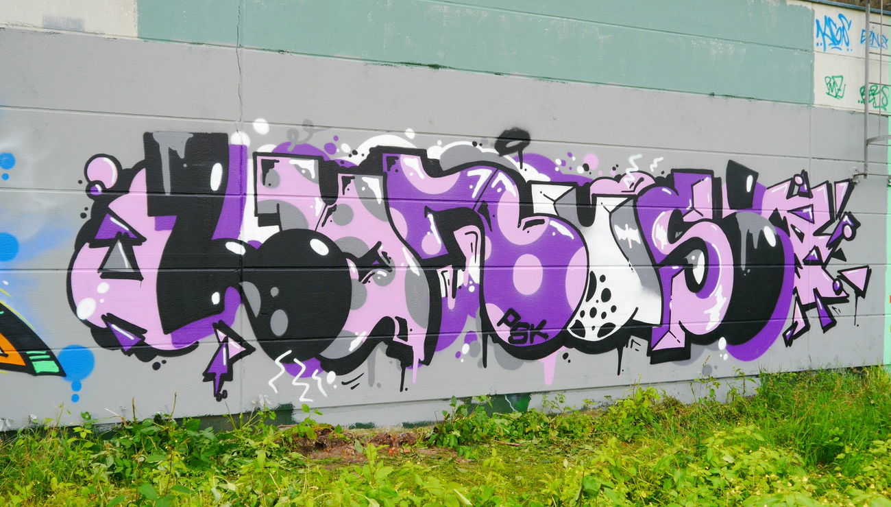 Graffiti Wall - Photo by oldenburgcity - lynus, leenoe (2016)