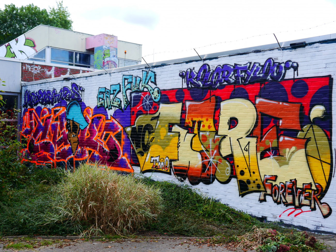 Graffiti Wall - Photo by oldenburgcity - chek, nofuture (2015)