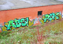 Graffiti Bombing - Photo by oldenburgcity - abs, psk (2016)