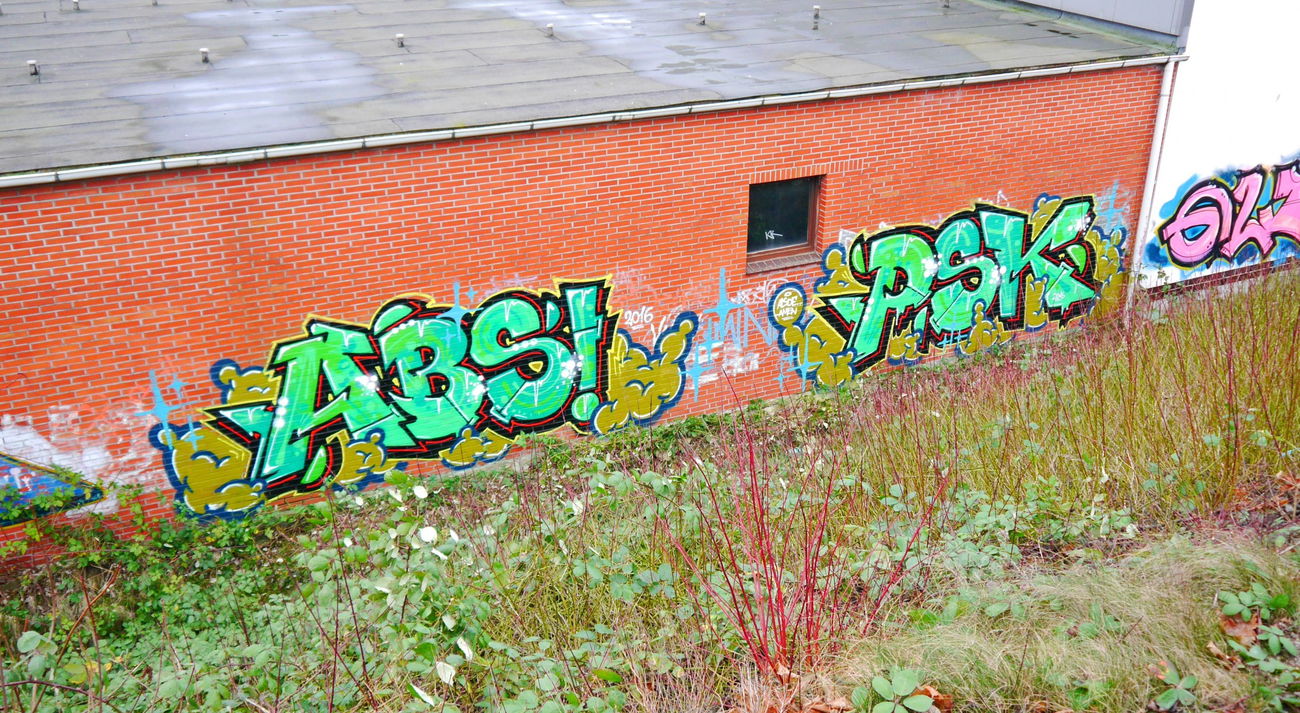 Graffiti Bombing - Photo by oldenburgcity - abs, psk (2016)