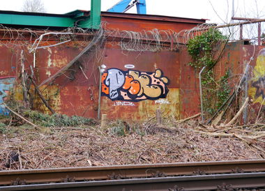 Graffiti Bombing - Photo by oldenburgcity - PSK (2016)