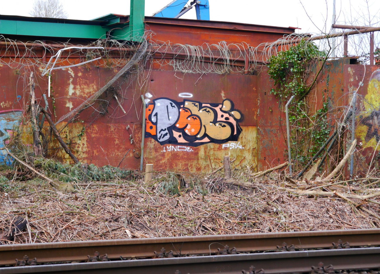 Graffiti Bombing - Photo by oldenburgcity - PSK (2016)