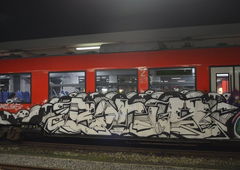 Graffiti Train - Photo by oldenburgcity - BONUS