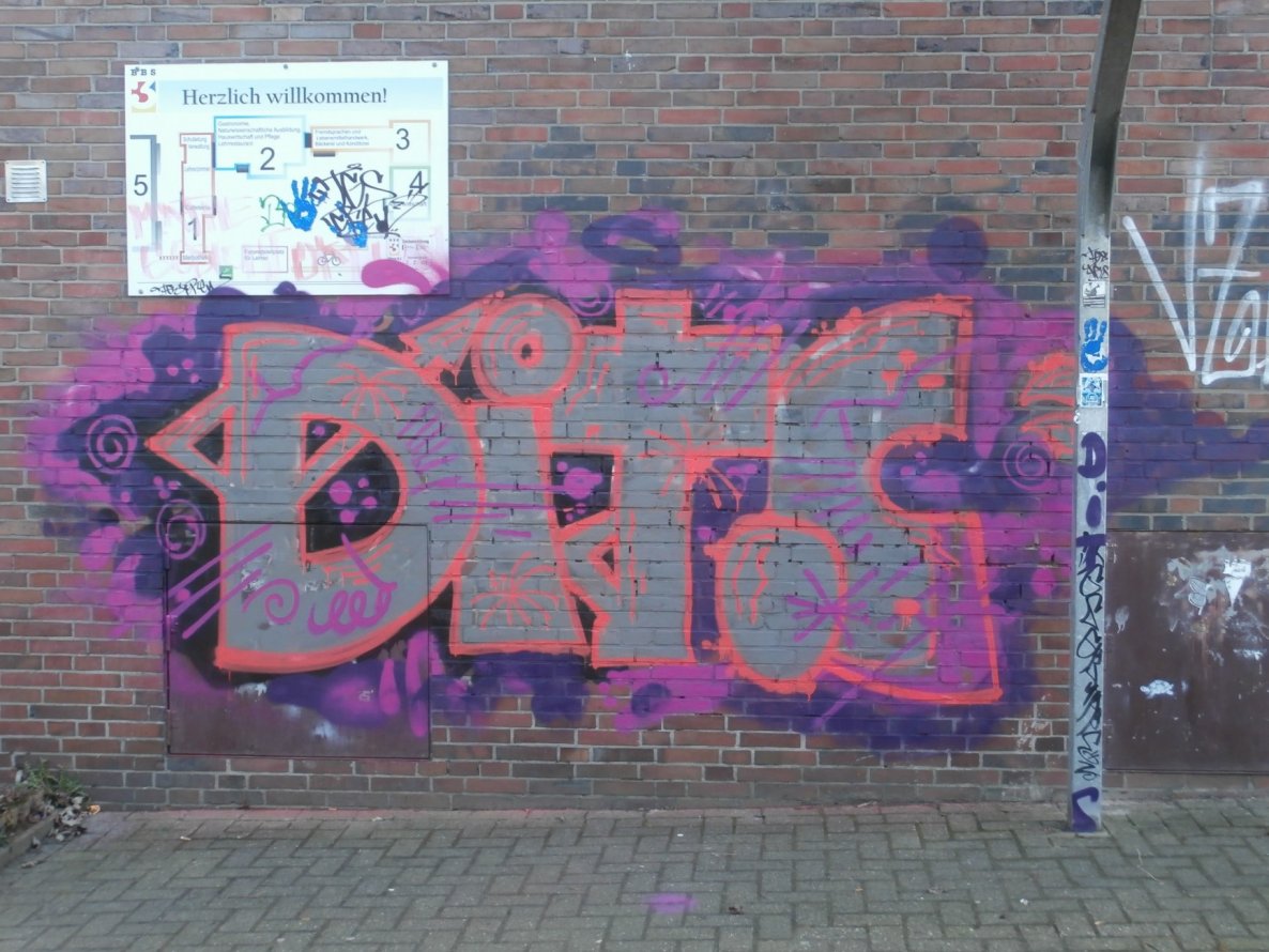 Graffiti Bombing - Photo by oldenburgcity - ditc (2015)