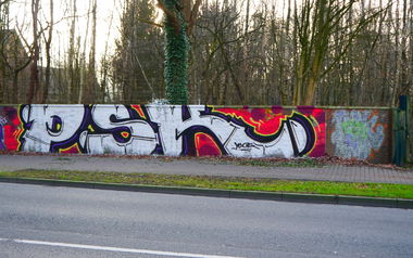 Graffiti Bombing - Photo by oldenburgcity - psk (2015)