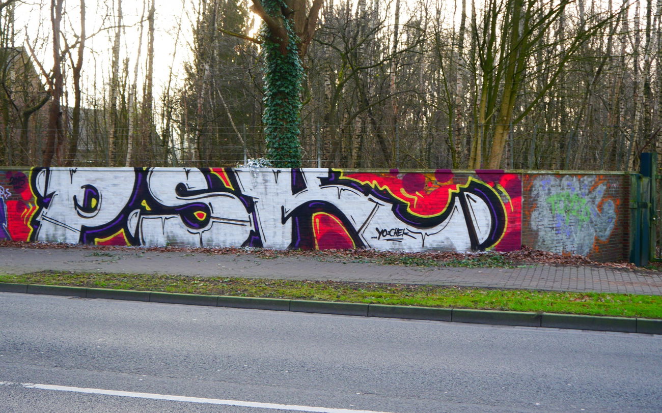 Graffiti Bombing - Photo by oldenburgcity - psk (2015)