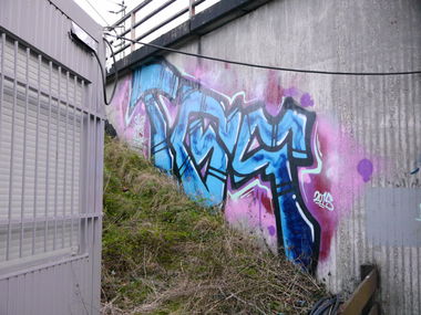 Graffiti Bombing - Photo by oldenburgcity - tgs (2015)