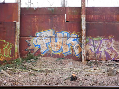 Graffiti Bombing - Photo by oldenburgcity - FUK