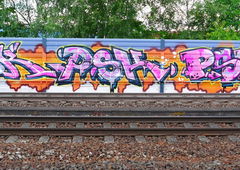 Graffiti Bombing - Photo by oldenburgcity - psk (2016)