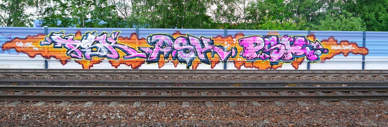 Graffiti Bombing - Photo by oldenburgcity - psk (2016)