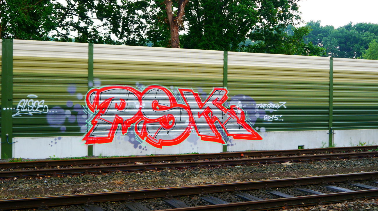 Graffiti Bombing - Photo by oldenburgcity - psk (2015)