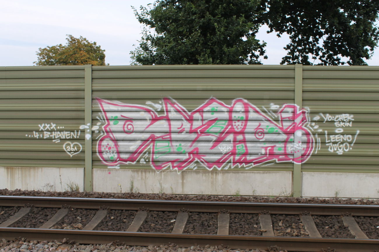 Graffiti Bombing - Photo by oldenburgcity - razia (2014)