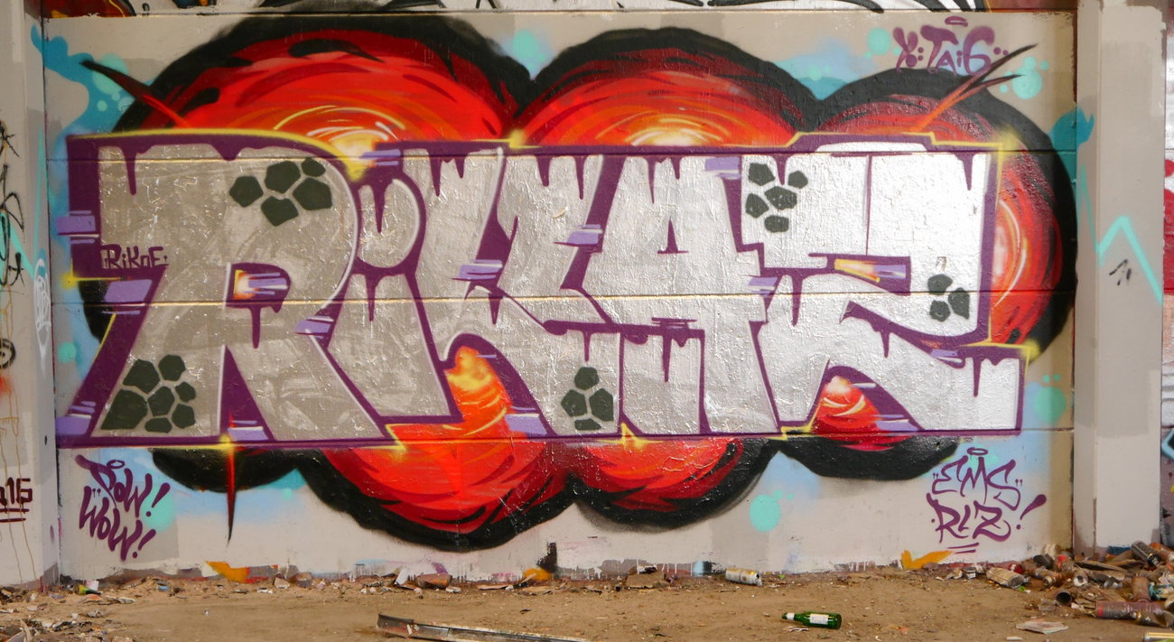 Graffiti Wall - Photo by oldenburgcity - rillaz, rlz (2016)