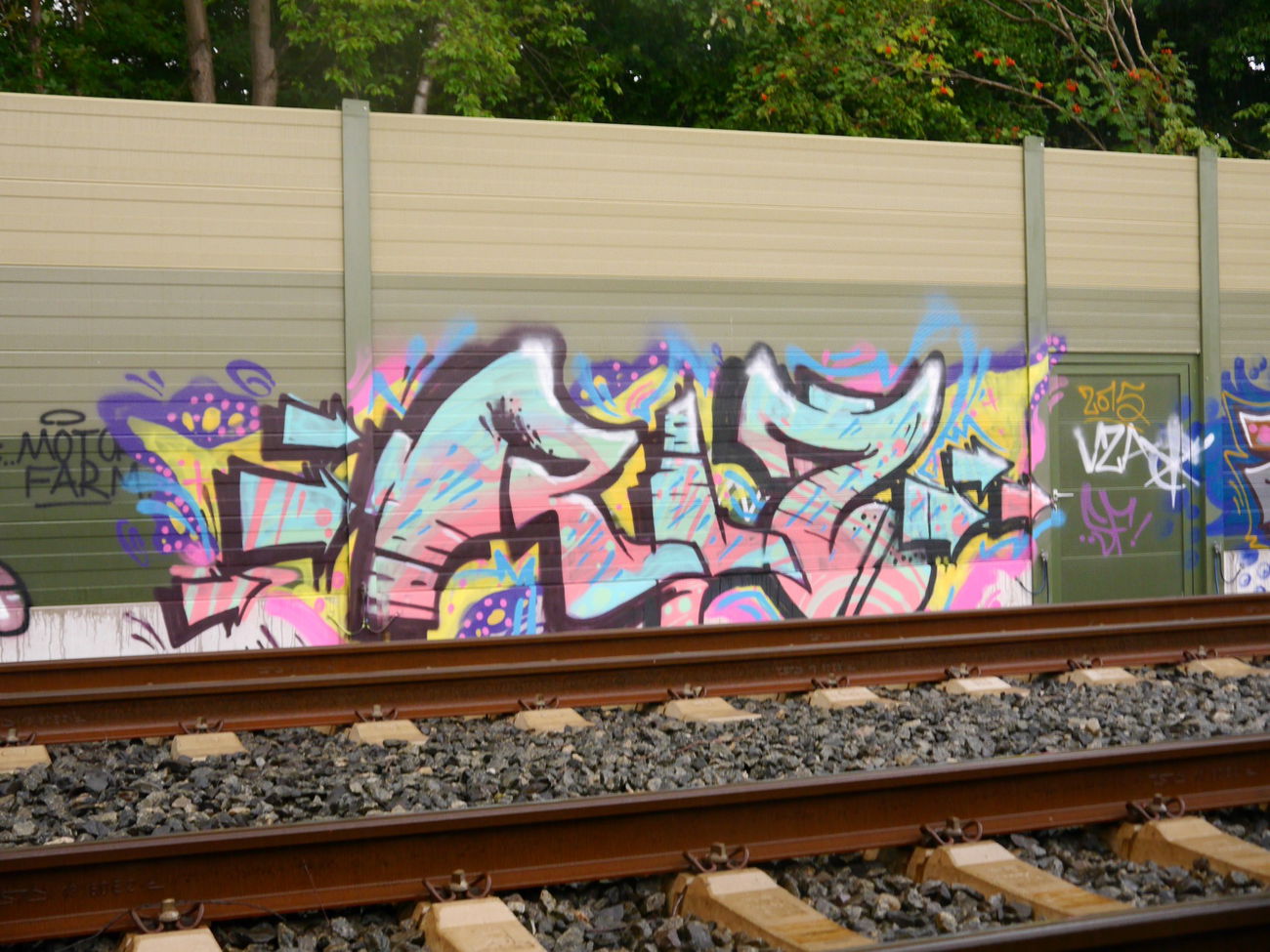 Graffiti Bombing - Photo by oldenburgcity - rlz (2015)
